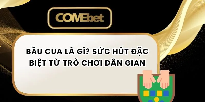 Bầu Cua Là Gì? Sức Hút Đặc Biệt Từ Trò Chơi Dân Gian