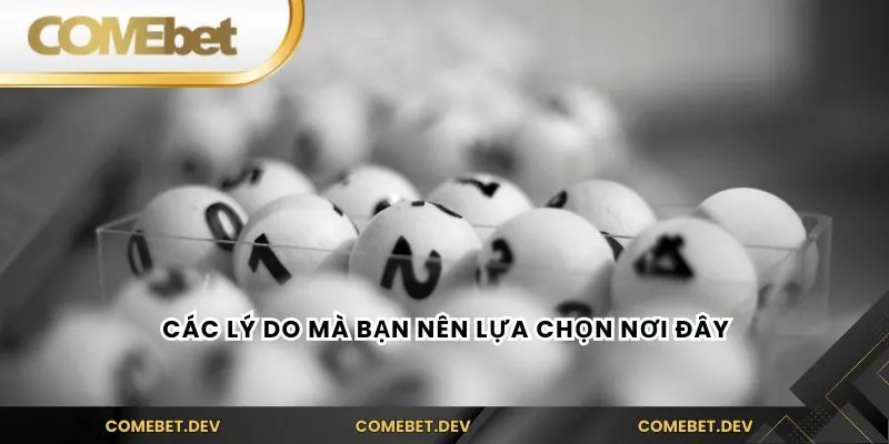 Các lý do mà bạn nên lựa chọn nơi đây