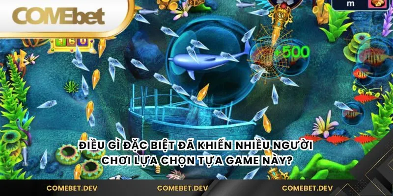 Điều gì đặc biệt đã khiến nhiều người chơi lựa chọn tựa game này?