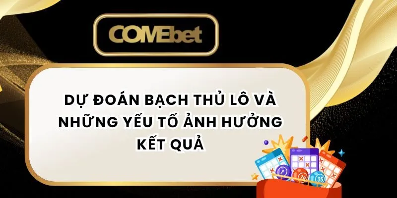 Dự Đoán Bạch Thủ Lô Và Những Yếu Tố Ảnh Hưởng Kết Quả