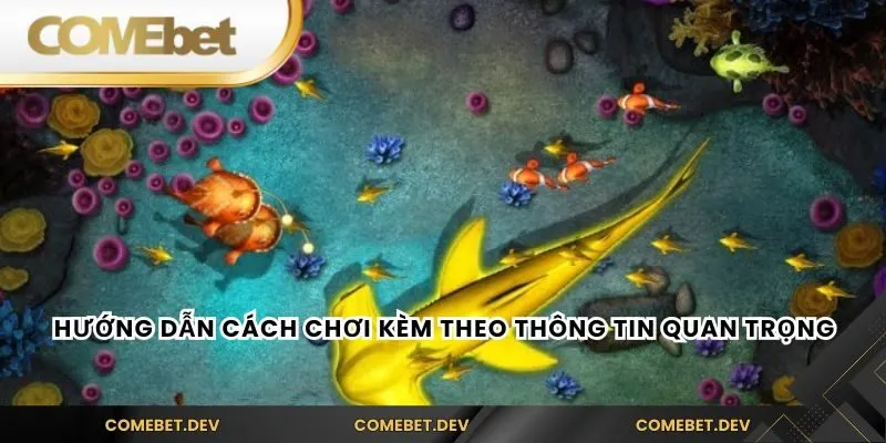 Hướng dẫn cách chơi kèm theo thông tin quan trọng