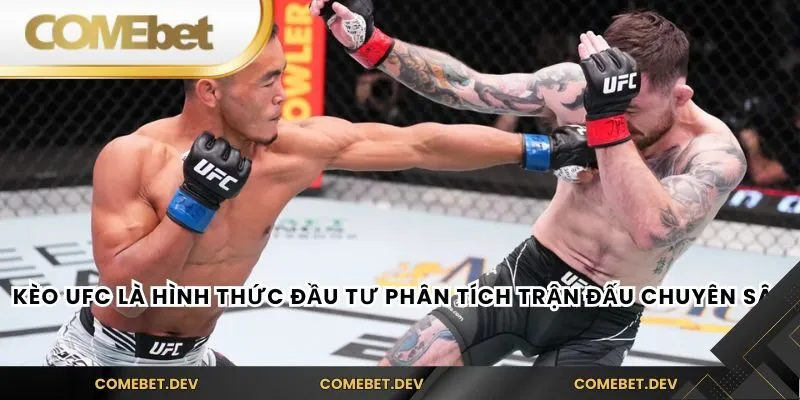 Kèo UFC là hình thức đầu tư phân tích trận đấu chuyên sâu