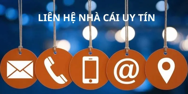 Hướng Dẫn Liên Hệ COMEBET Dành Riêng Cho Mọi Hội Viên