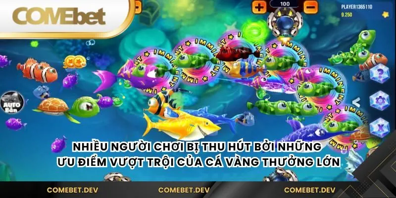 Nhiều người chơi bị thu hút bởi những ưu điểm vượt trội của Cá vàng thưởng lớn