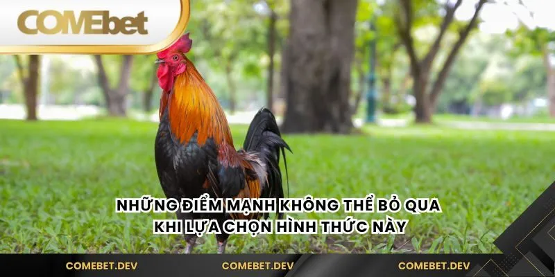 Những điểm mạnh không thể bỏ qua khi lựa chọn hình thức này