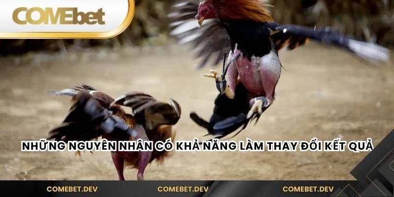 Những nguyên nhân có khả năng làm thay đổi kết quả