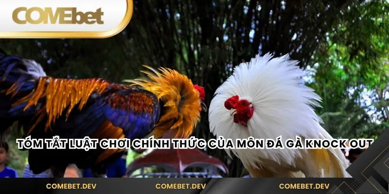 Tóm tắt luật chơi chính thức của môn đá gà knock out