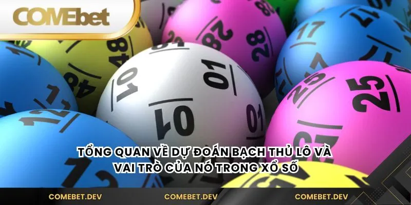 Tổng quan về dự đoán bạch thủ lô và vai trò của nó trong xổ số